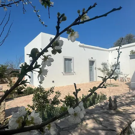 Serendipity Living Apartment Katsounion